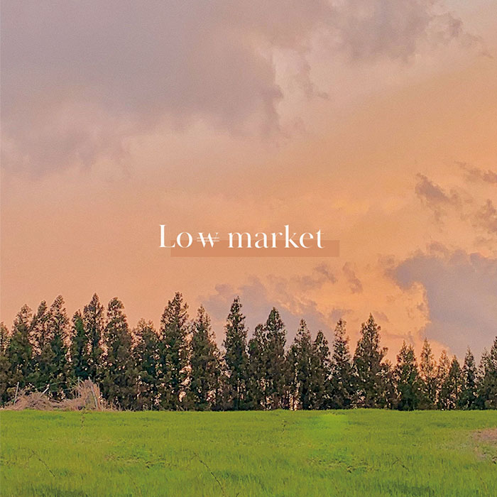 Low market 5월 1주차로버블