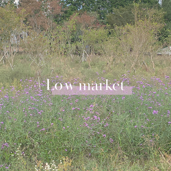 Low market 5월 4주차로버블